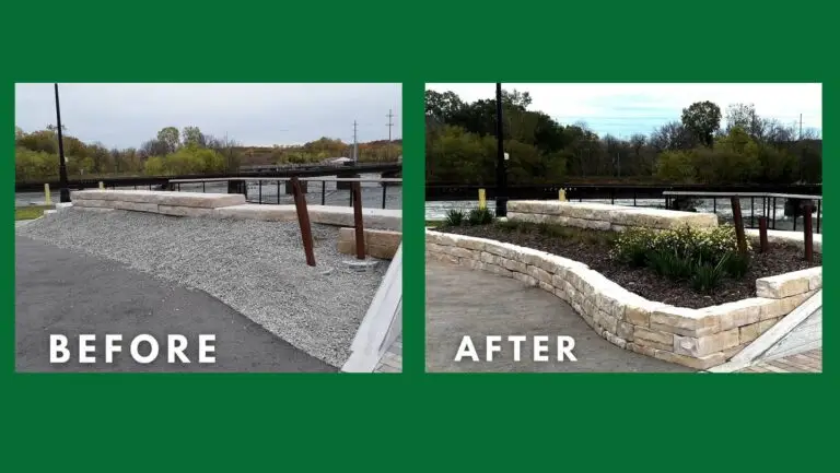 Landscaping Project Before and After