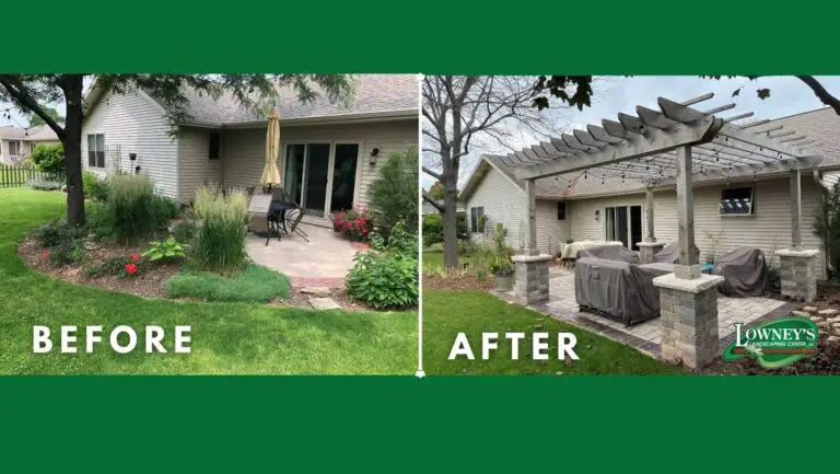 Pergola Landscaping Project Before and After