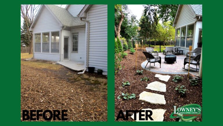 Backyard Lawn Landscaping Project Before and After