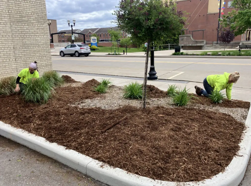 Appleton Mulch Commercial Properties