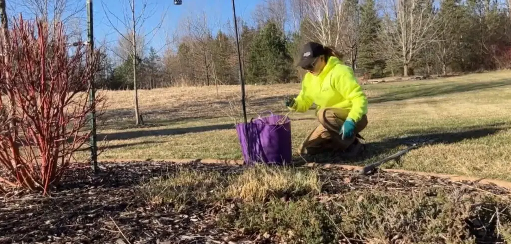 Spring Cleanup Appleton WI