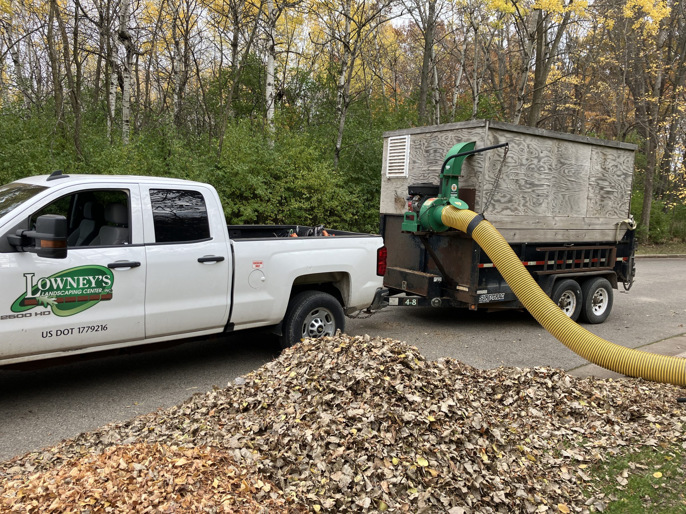 Landscaping truck vacuuming autumn leaves into trailer