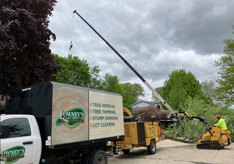 Tree removal crew with crane and truck