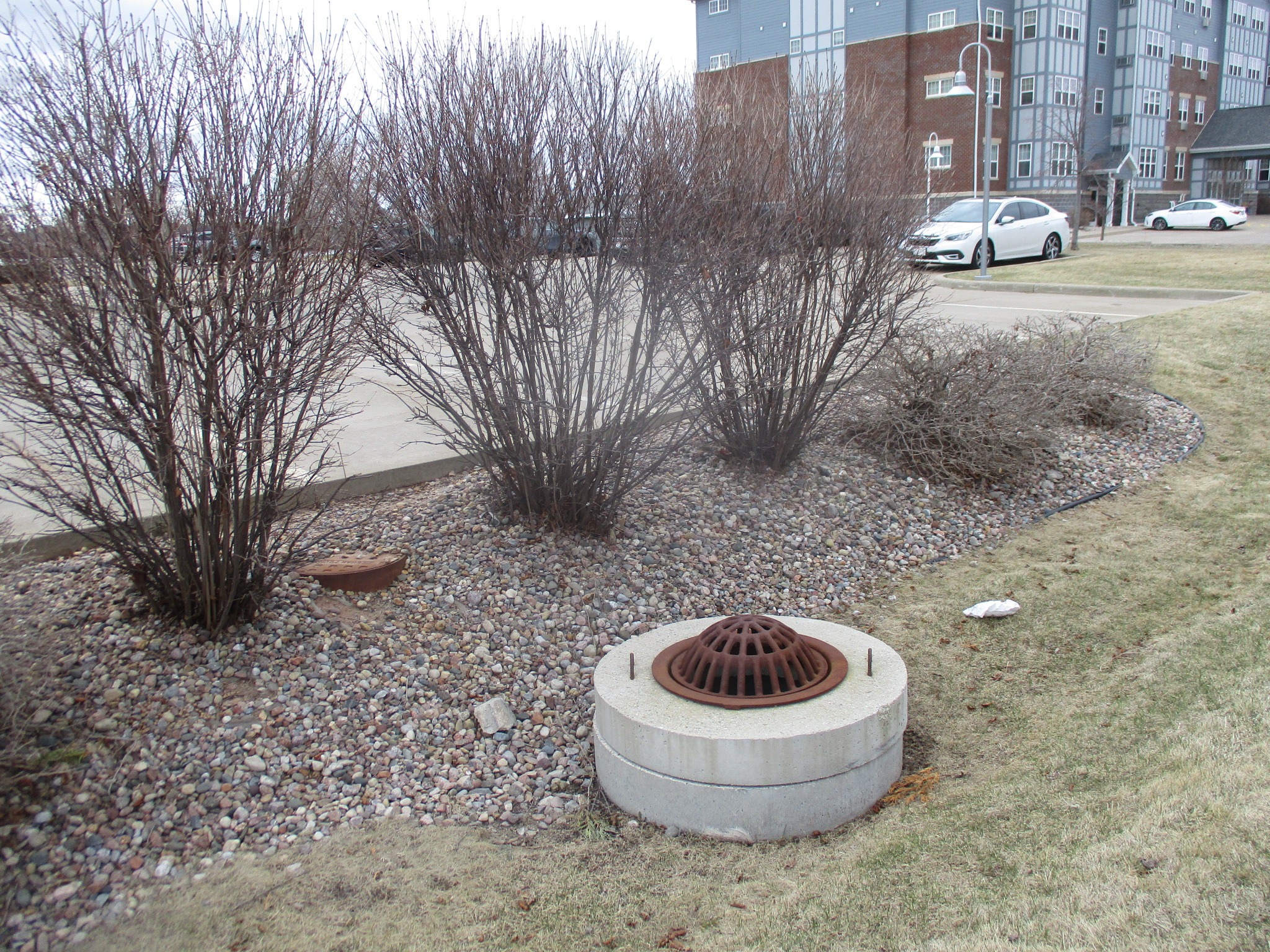 Leafless shrubs beside apartment parking lot and storm drain