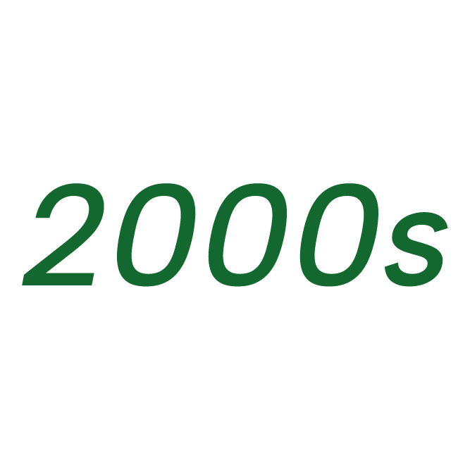 Green text reading 2000s on gray background