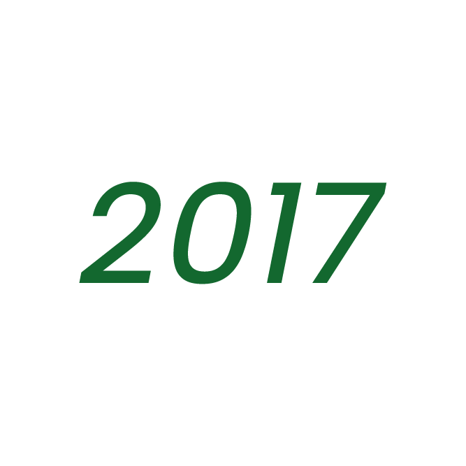 Green 2017 text on light background