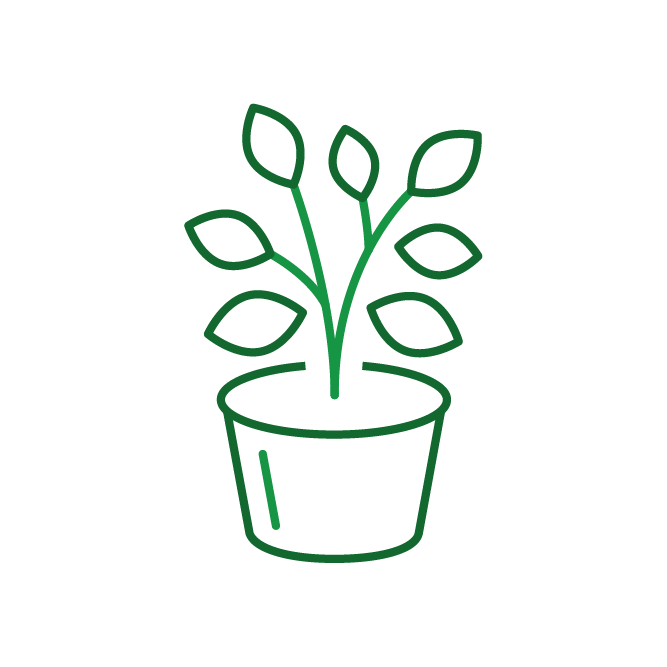 Green line icon of potted plant