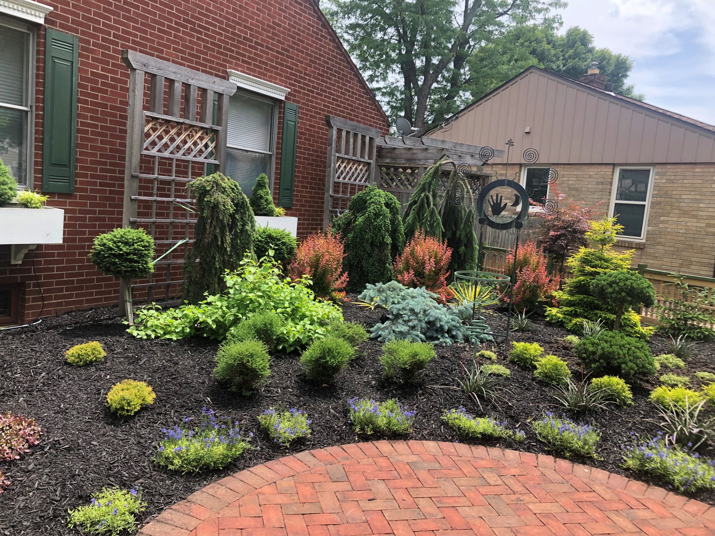 Landscaped garden with shrubs beside brick house