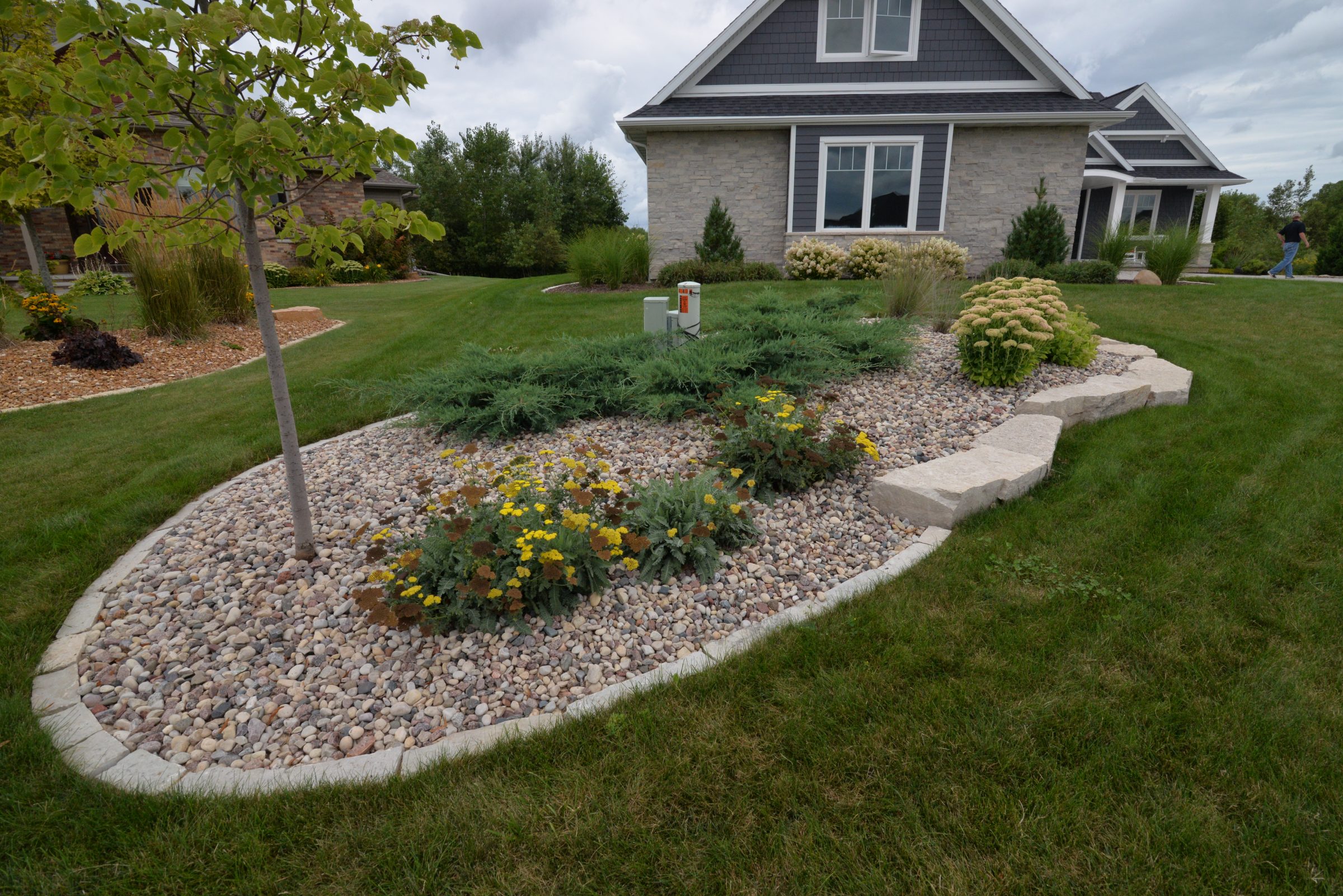 Landscaped front yard with rock garden and shrubs