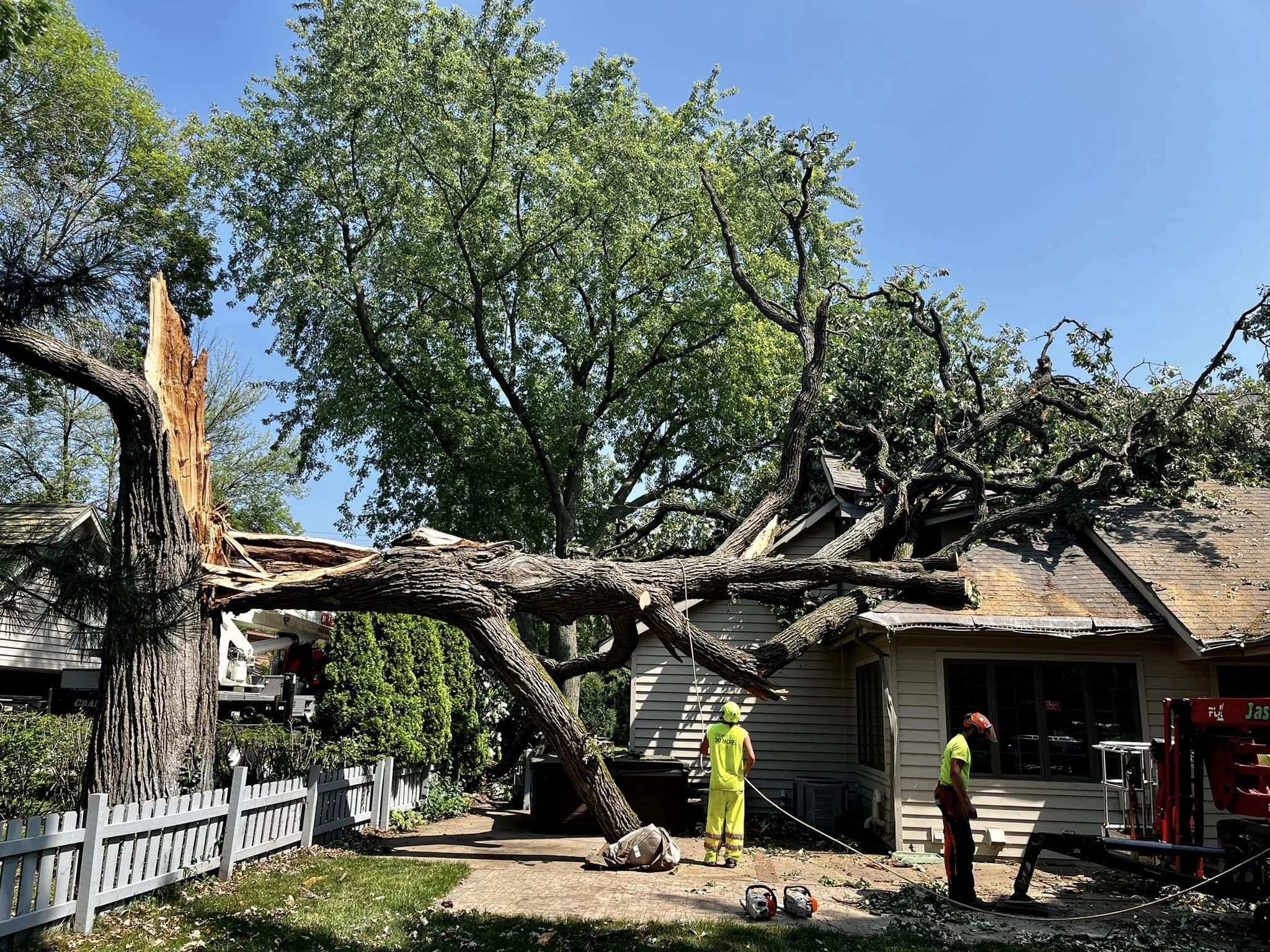Large fallen tree crushing residential house roof