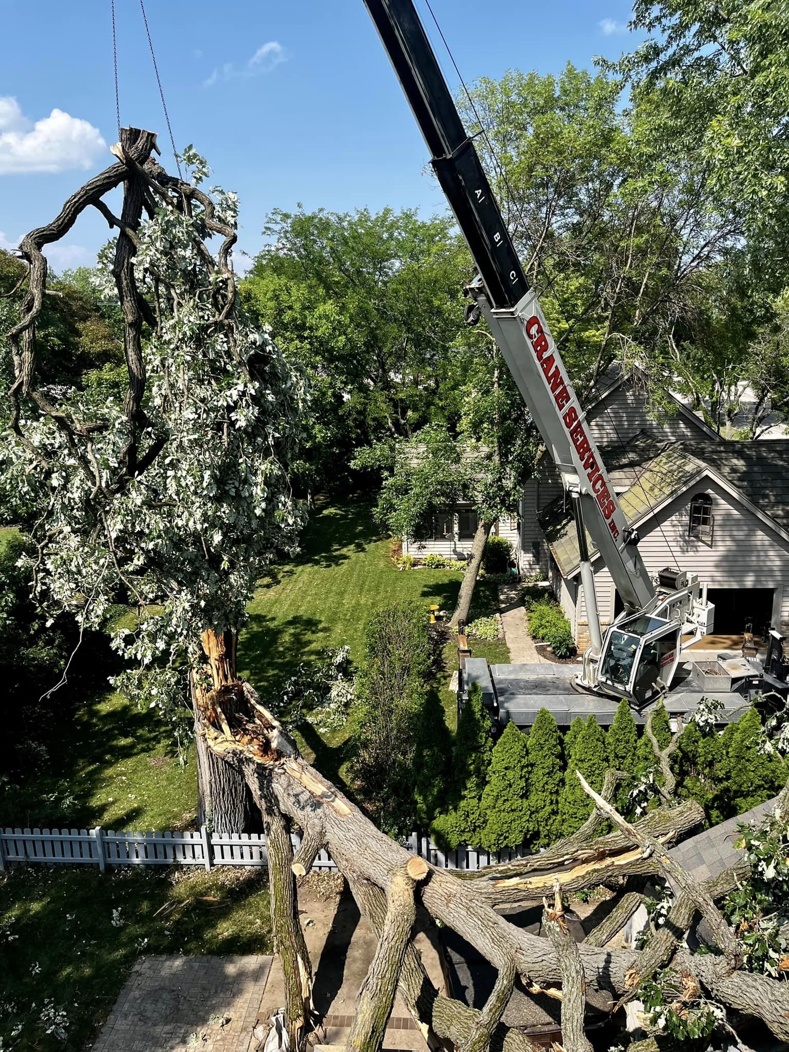 Crane removing large tree from residential yard