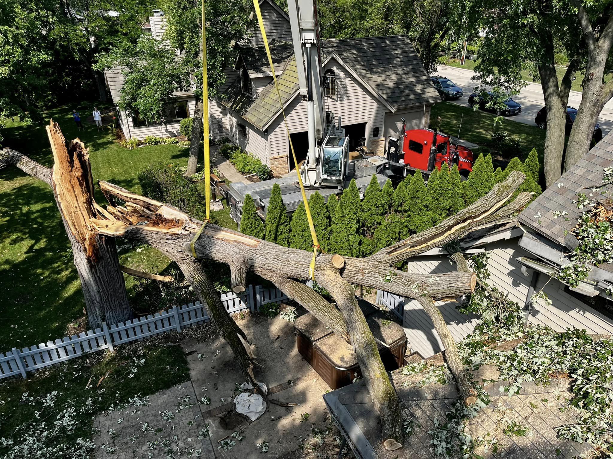 Crane removing large tree in residential backyard