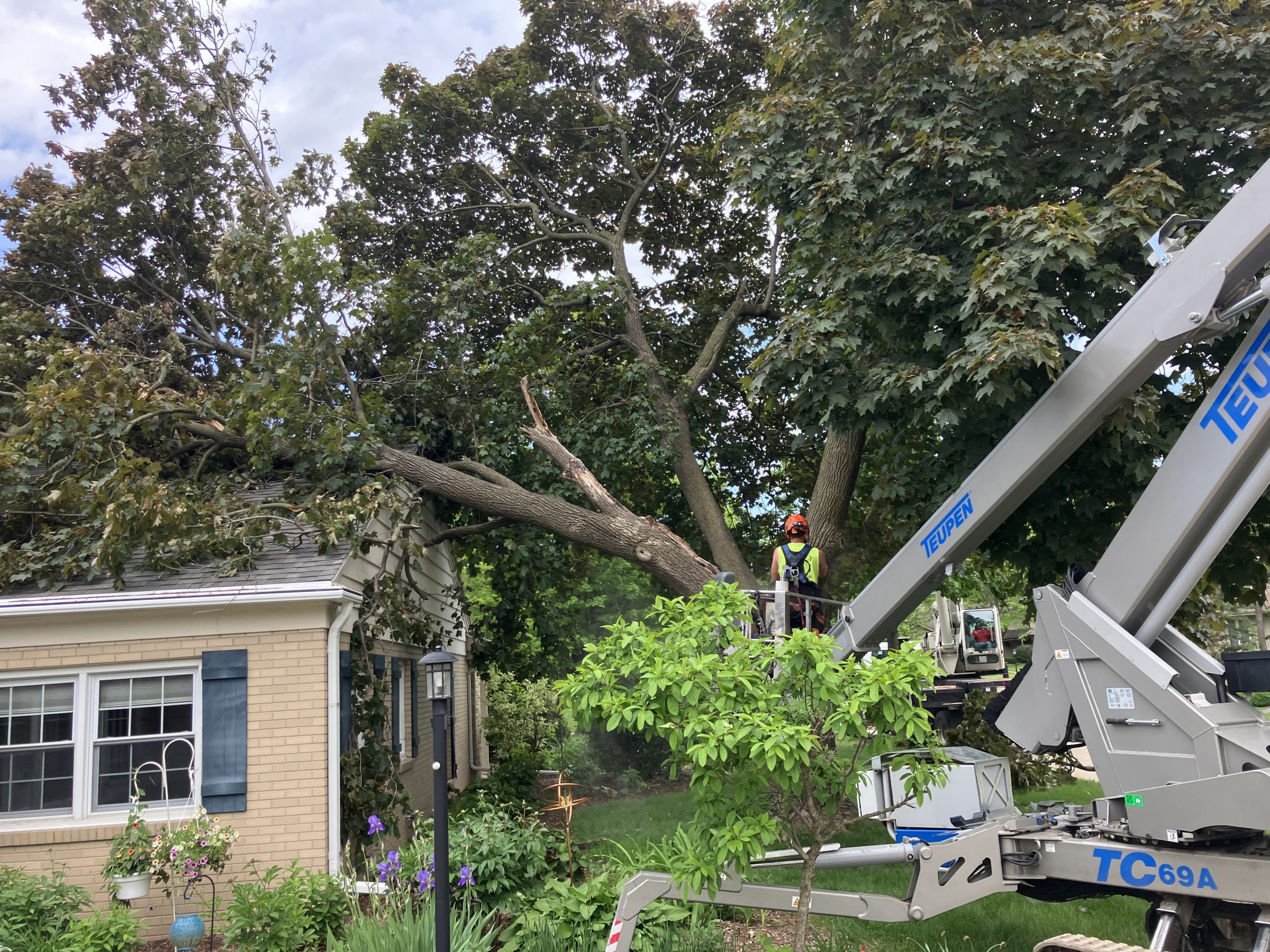 Tree worker removing fallen branch from house roof