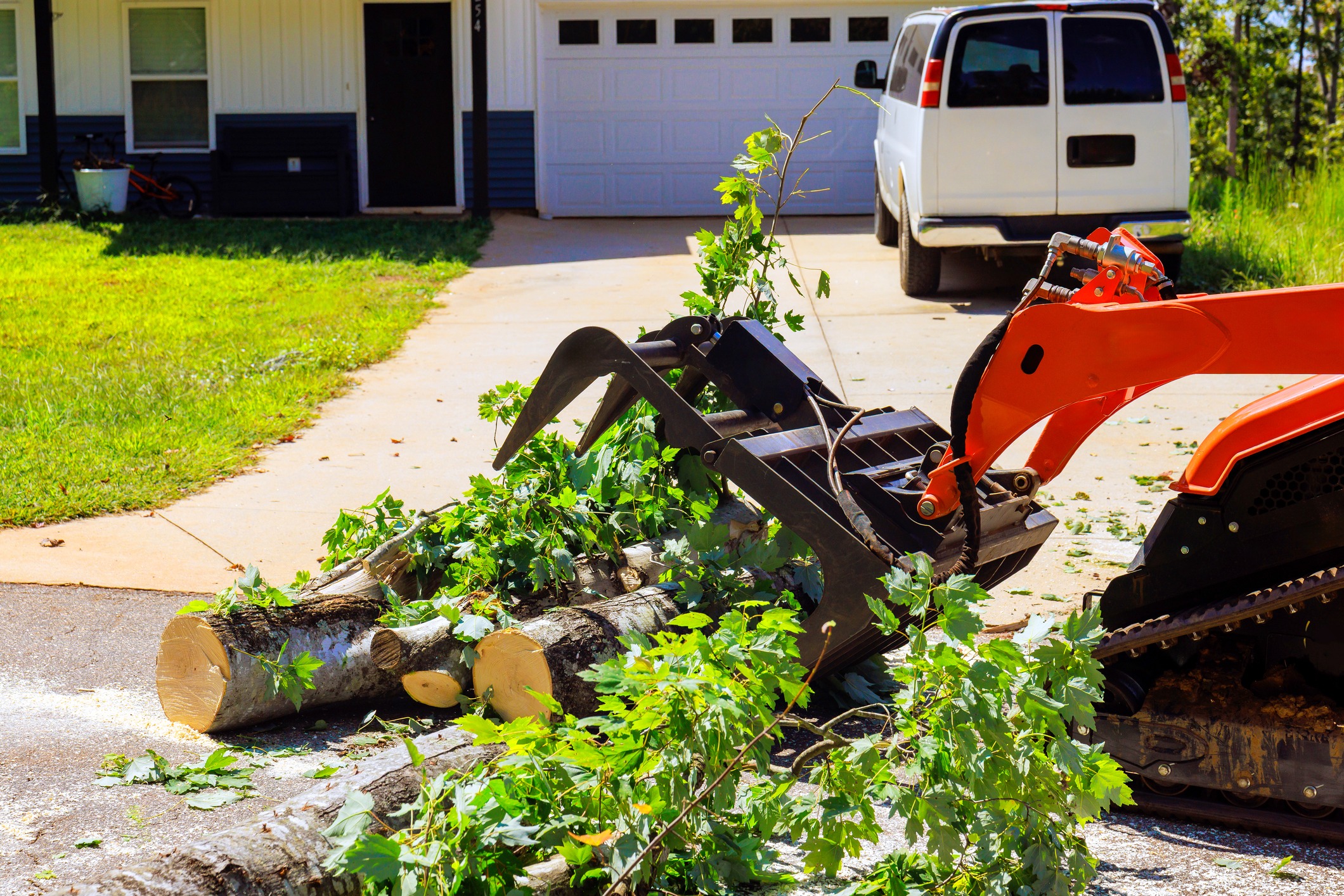 Skid steer moving cut logs on driveway