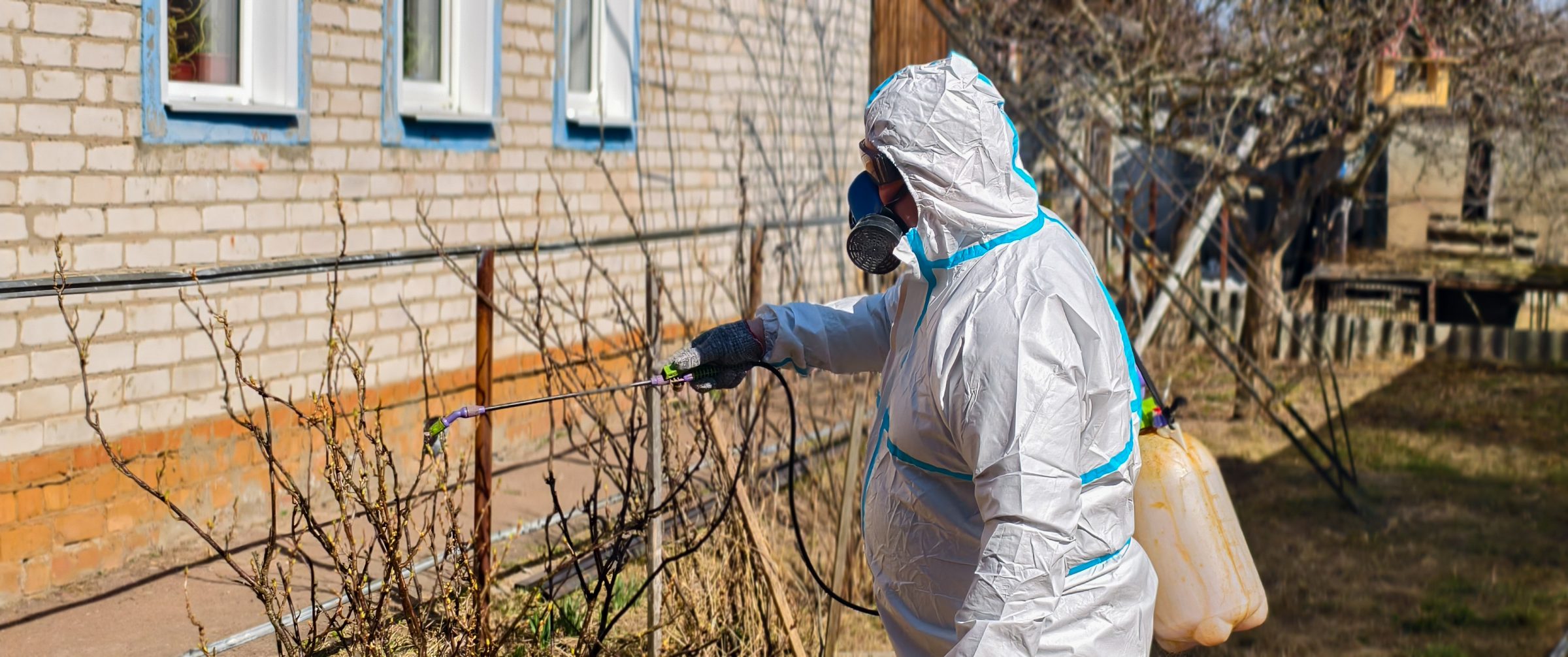 Worker in hazmat suit spraying plants outdoors