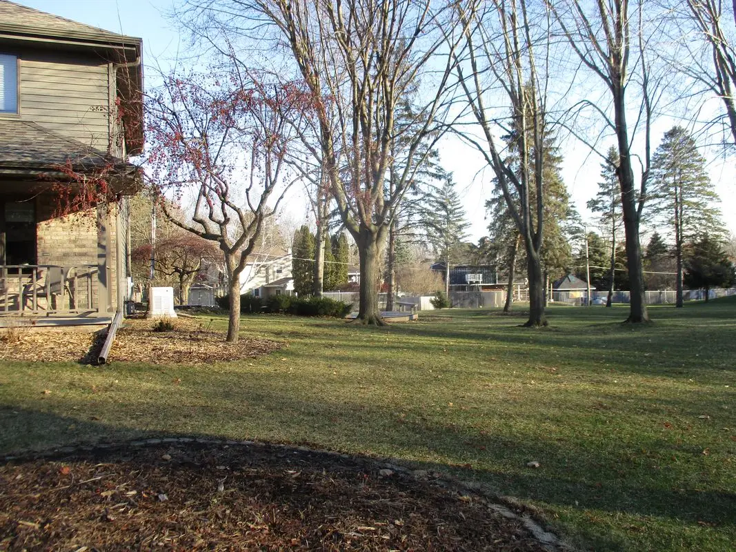Suburban backyard with leafless trees and lawn