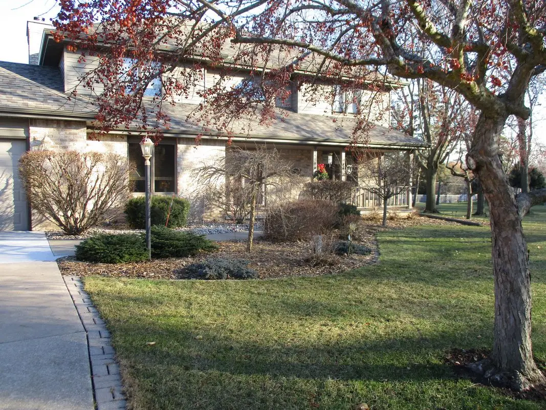 Suburban house with front yard and tree