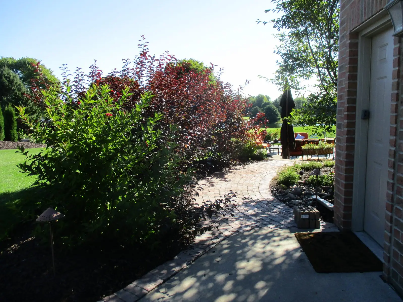 Curved brick pathway through lush backyard garden
