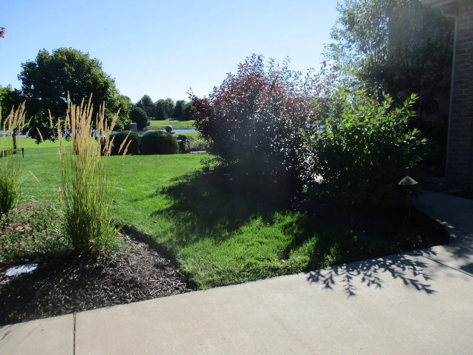 Sunny landscaped backyard with lawn and lake view