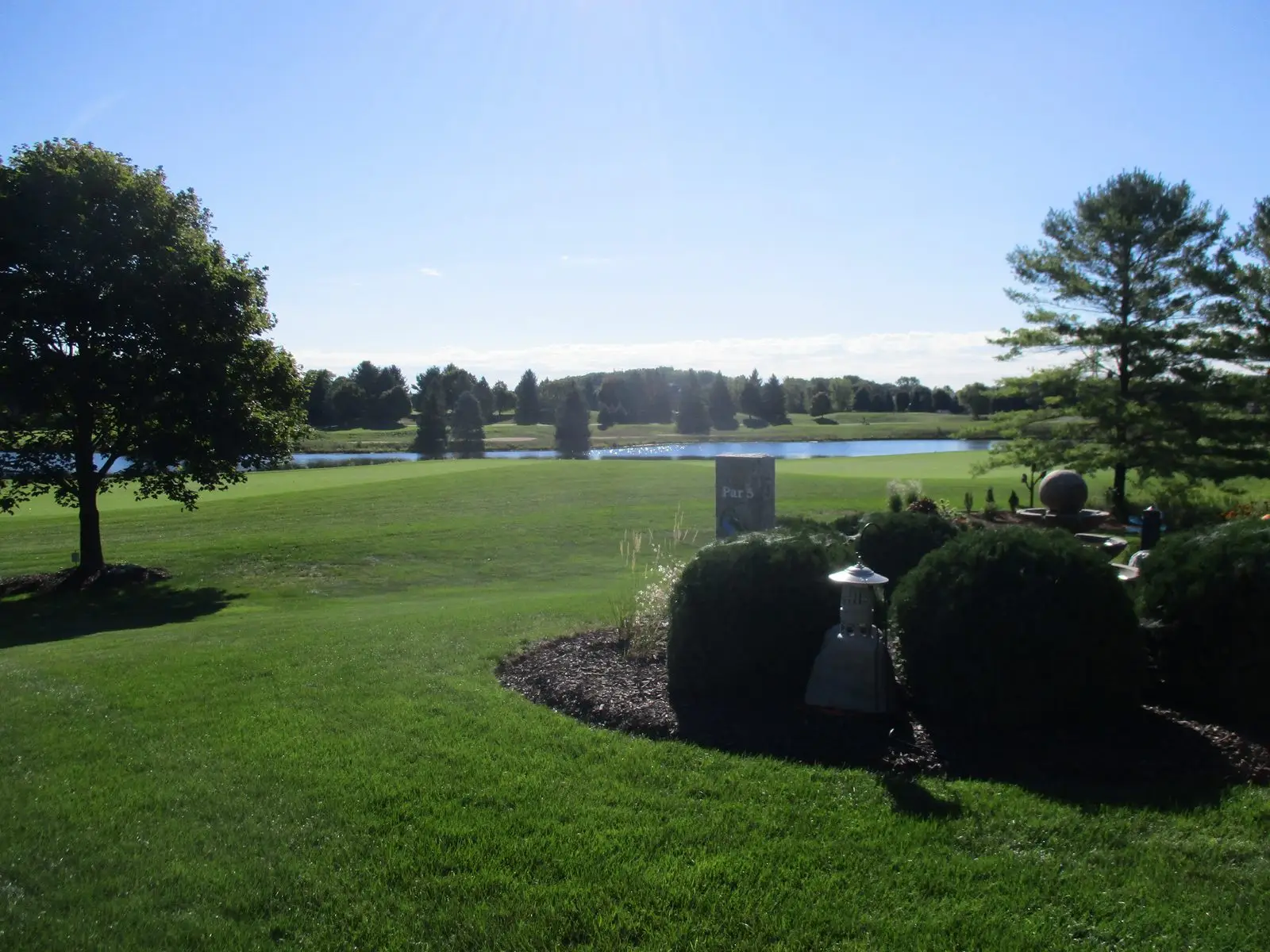 Sunny golf course with pond and trees