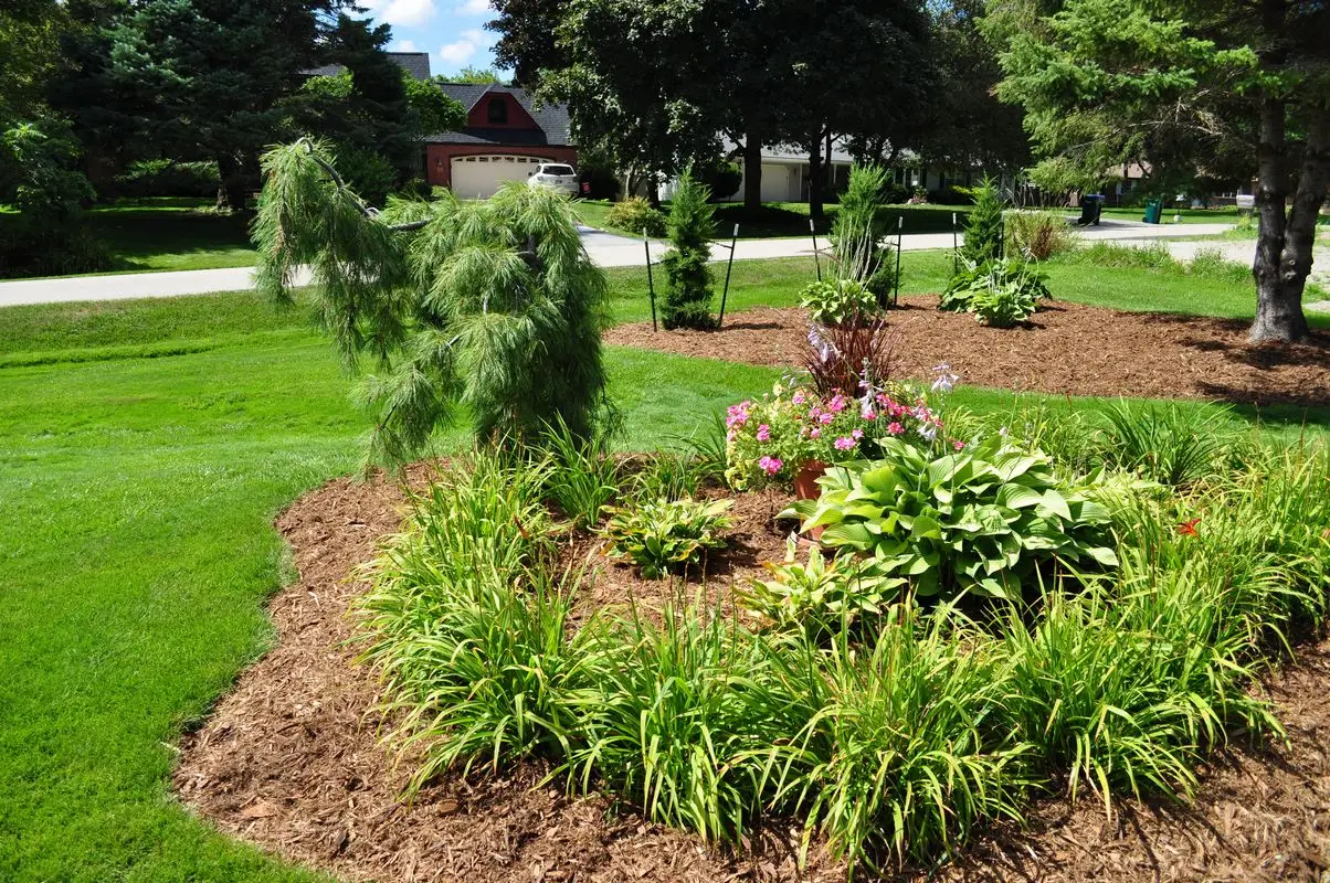 Landscaped front yard garden with trees and flowers