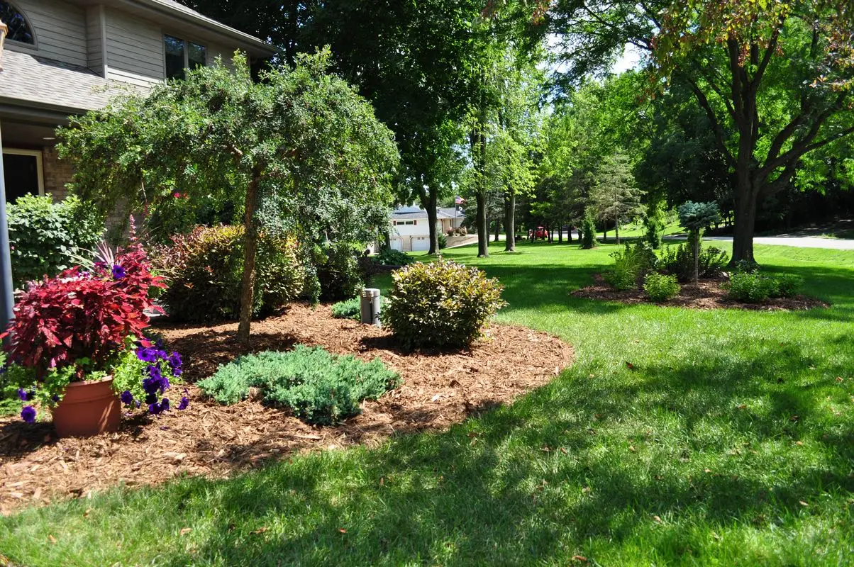 Landscaped suburban front yard with trees and flower beds