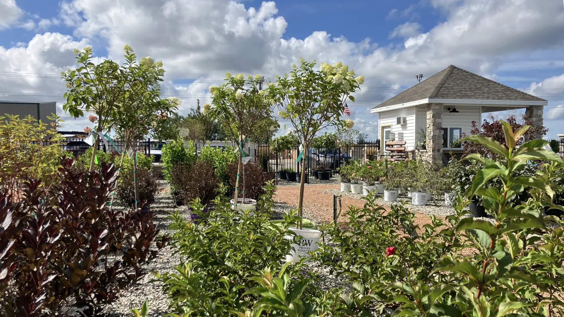 Appleton mulch plants trees